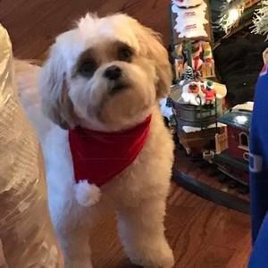 Meet your Posher, Cathy